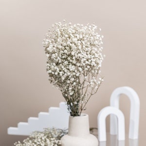 Preserved Baby's Breath Flower Off-white,cream,ivory  Wedding,floral,bouquet,decor, Arrangement,gypsophila,gift,dried,eternal 