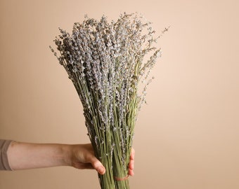 Dried Lavender - Naturally Fragrant Pale Lavender