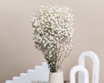100 PCS White Pressed Dried Baby's Breath Flowers Bulk - 100% Natural 5''  Flat Real Dry Mini Gypsophila Flower Branches for Wedding, Hair Accessory