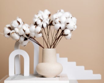 Dried Cotton Stems - 10 Stems Bunch