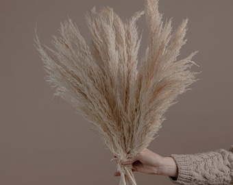 Grama de pampas creme Boho - Flores secas no atacado / Decoração de casa Boho