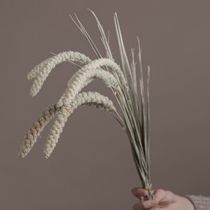 以下が含まれることがあります： 茶色の背景に、手のひらに持たれた、羽毛状の房を持つ乾燥したベージュの草の束