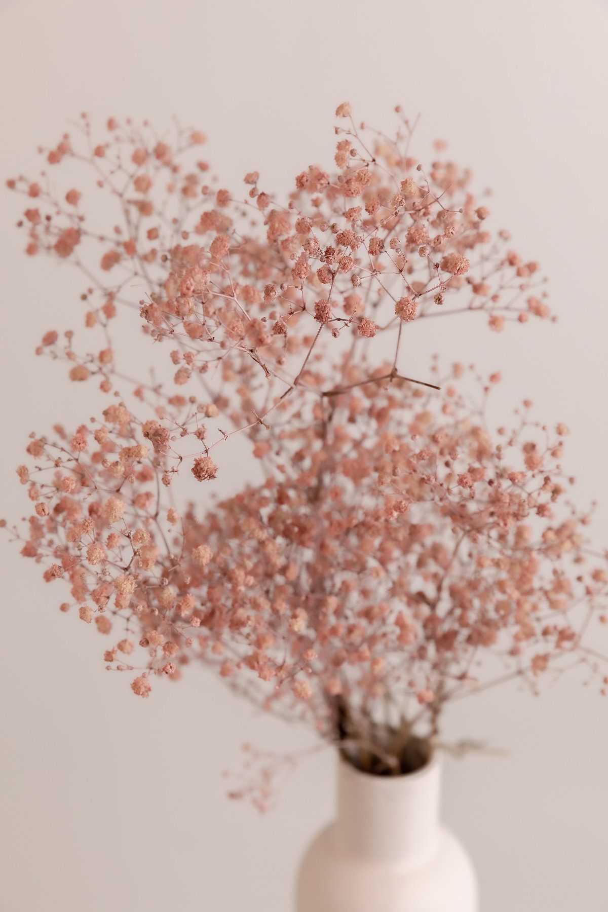 65Pcs Mini Pink Dried Baby's Breath Flowers, 4000+ Natural Gypsophila, Dry  Flowers Bulk for Vase Resin Nails, Art Crafts DIY Pressed Flower Making