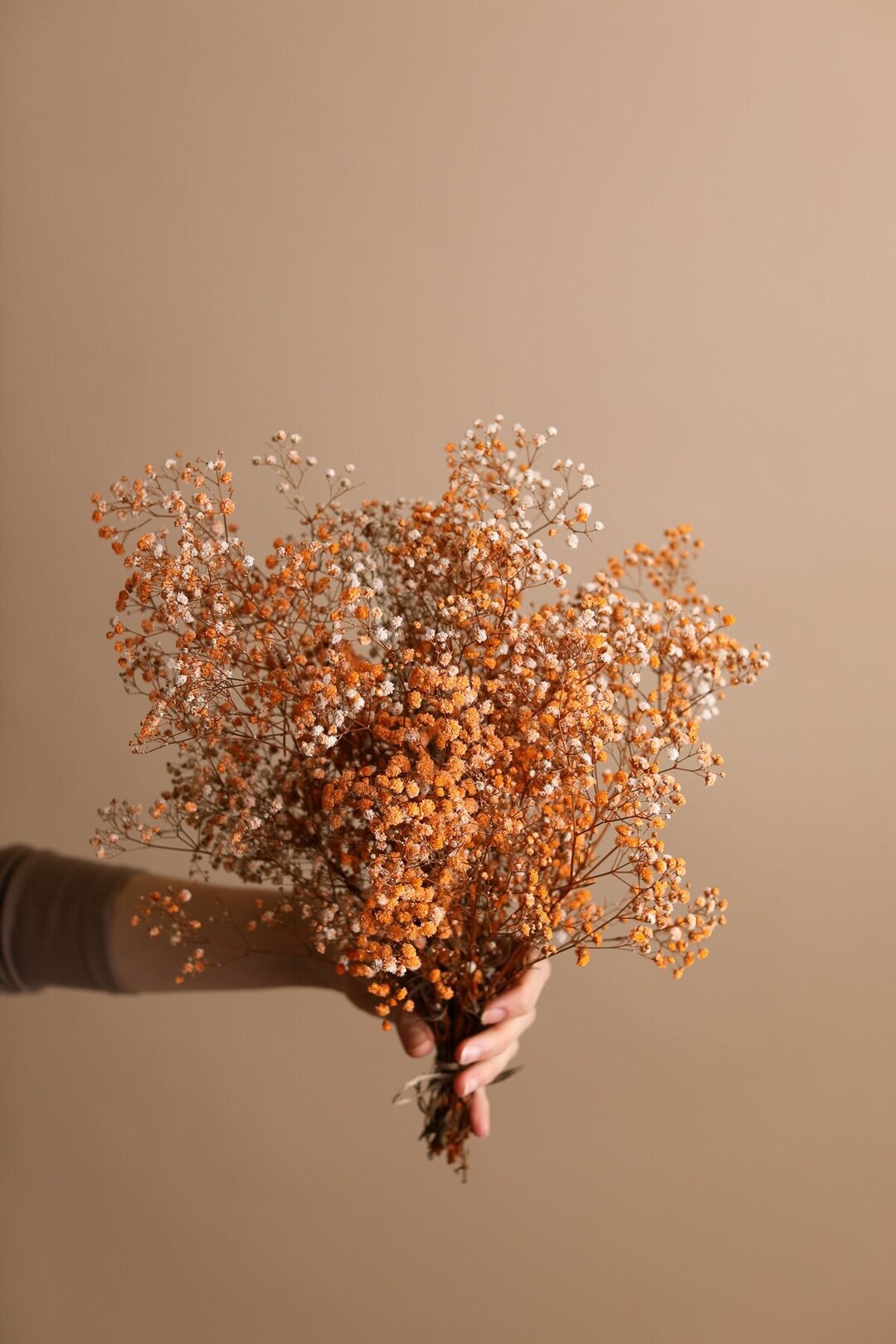Painted Orange Dried Gypsophila Baby's Breath Flowers Etsy UK