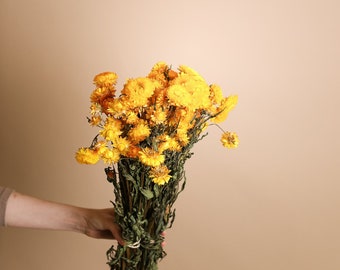 Yellow Dried Helichrysum - Yellow Straw Flowers