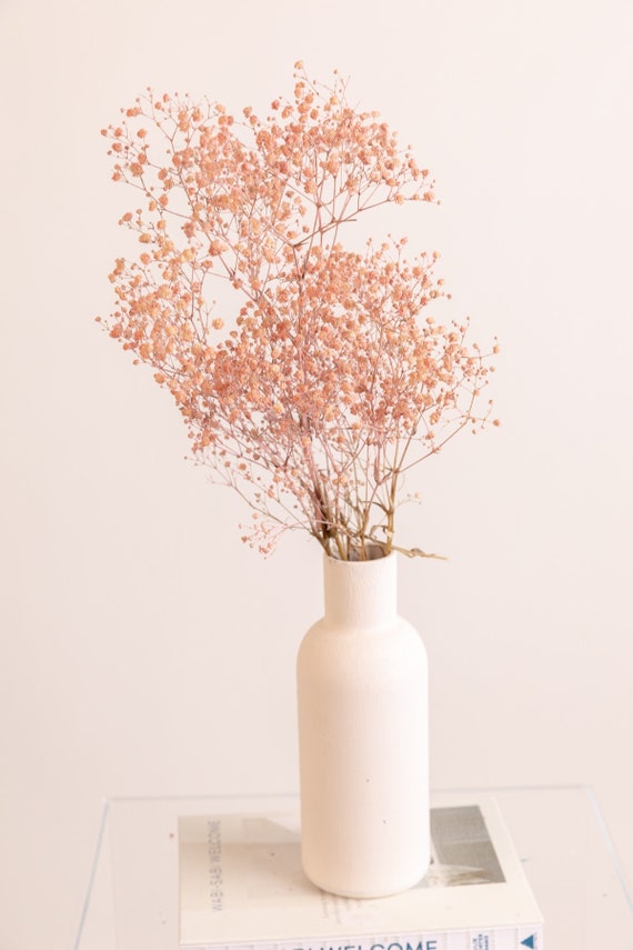 Dried Baby Breath Flowers