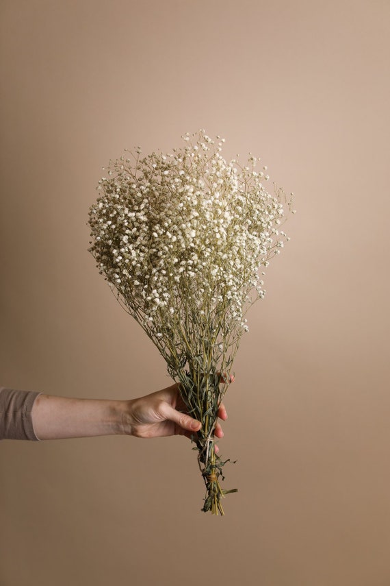 Dried Flowers Baby Breath Flowers Dried White Flowers - Temu