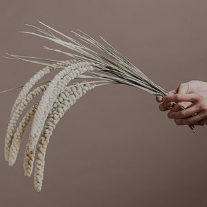 以下が含まれることがあります： 薄い茶色の背景に、手の中に乾燥した草とふわふわの白い花束がある。