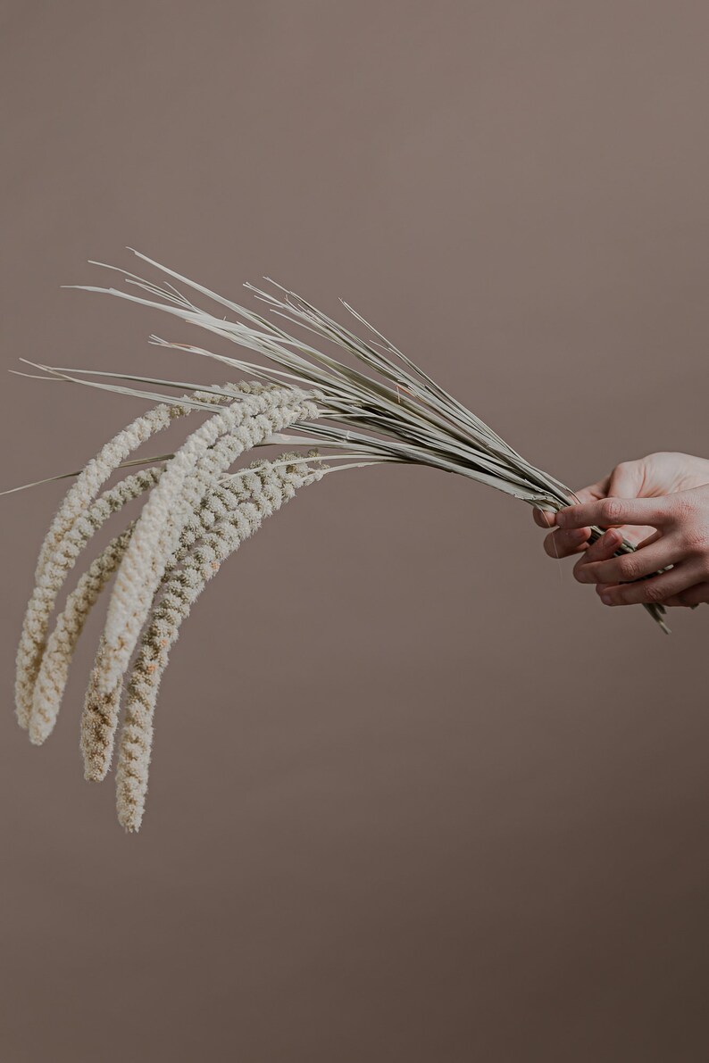 以下が含まれることがあります： 薄い茶色の背景に、手の中に乾燥した草とふわふわの白い花束がある。