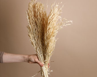 Avena de hoja pequeña seca - Blanqueada