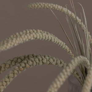 以下が含まれることがあります： テクスチャ加工された表面を持つ透明なガラスの花瓶に、ベージュと緑の乾燥した草の束が活けられています。花瓶は茶色の背景の上に置かれています。