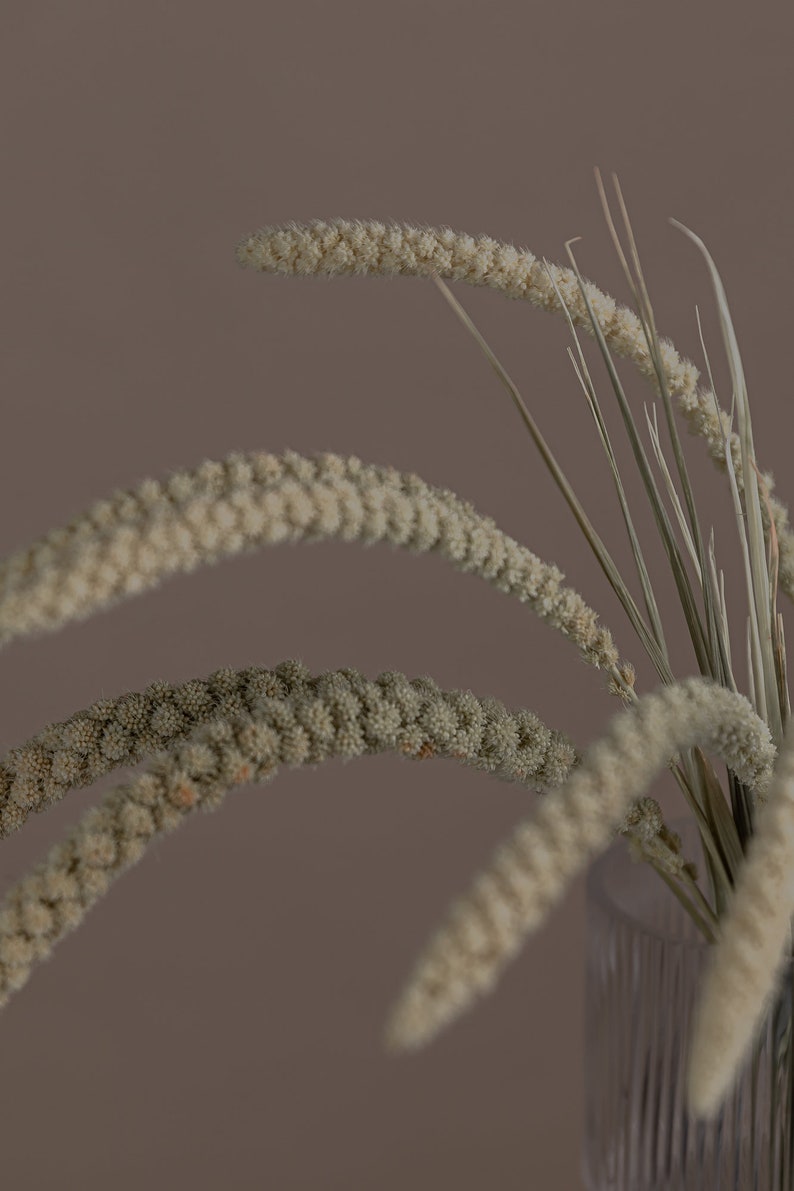 以下が含まれることがあります： テクスチャ加工された表面を持つ透明なガラスの花瓶に、ベージュと緑の乾燥した草の束が活けられています。花瓶は茶色の背景の上に置かれています。
