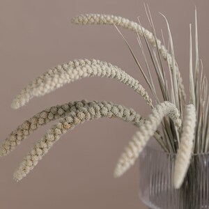 以下が含まれることがあります： テクスチャ加工された表面を持つ透明なガラスの花瓶に、乾燥した草の束が入れられています。草は薄いベージュ色で、羽毛のような質感です。