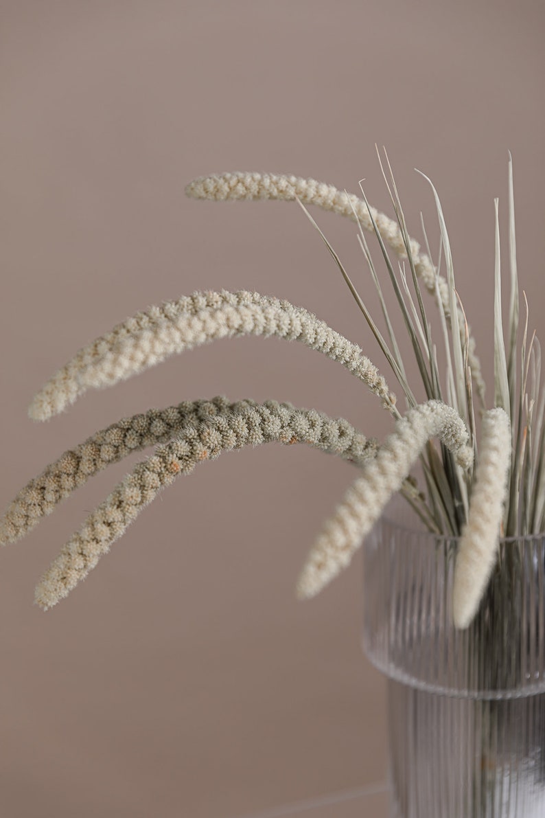 以下が含まれることがあります： テクスチャ加工された表面を持つ透明なガラスの花瓶に、乾燥した草の束が入れられています。草は薄いベージュ色で、羽毛のような質感です。