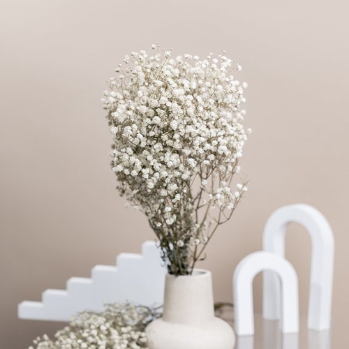 Preserved White Dried Gypsophila - Baby's Breath Flowers