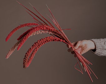 Long Setaria Pendula Red - Pastel Paradise Pink Foxtail Millet Grass