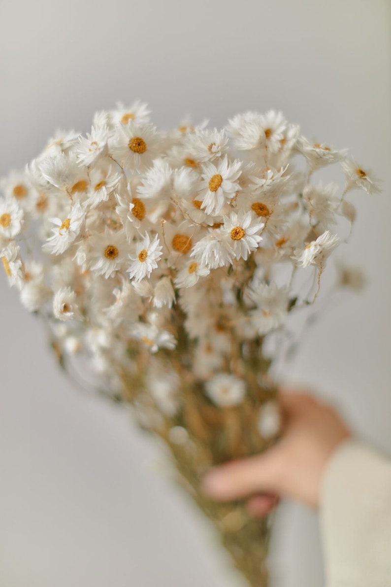 Dried flowers