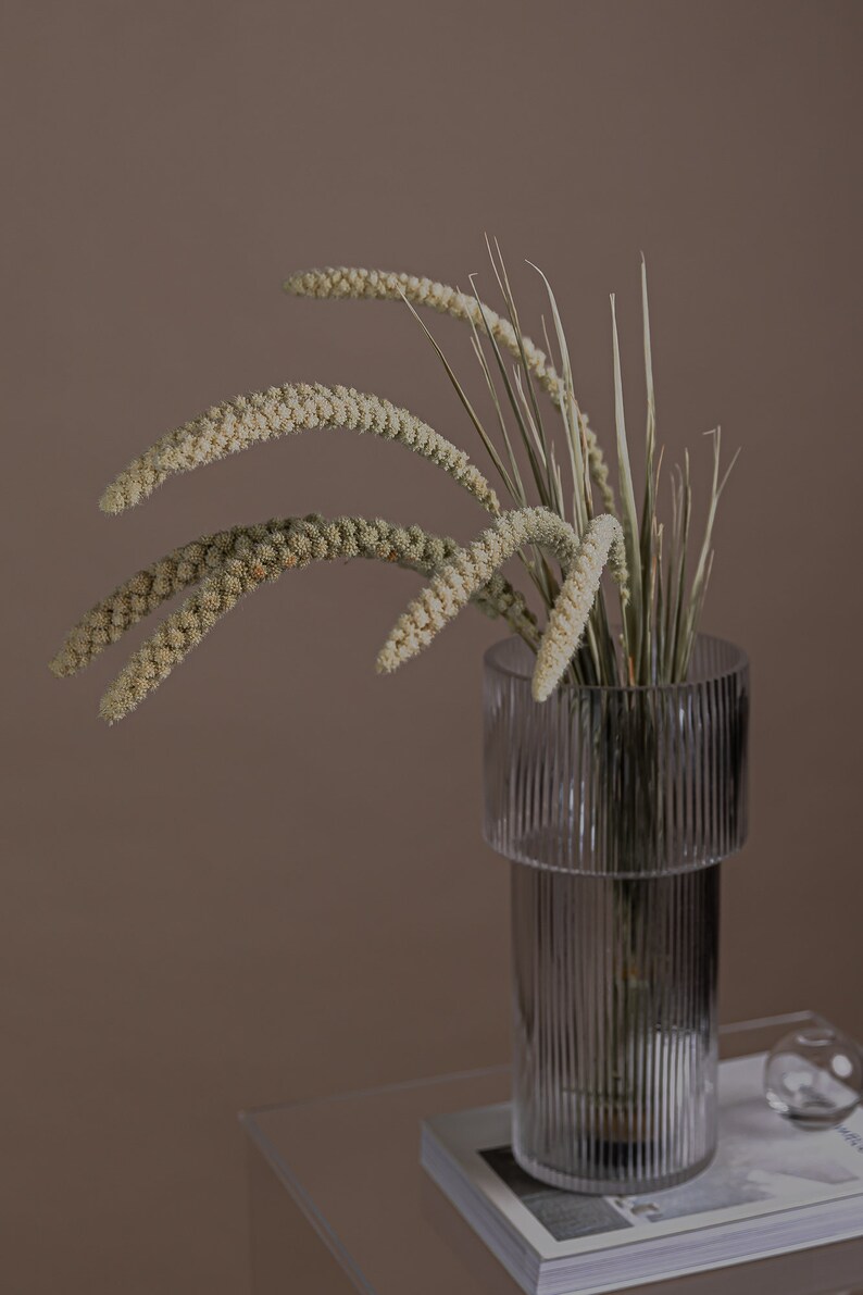 以下が含まれることがあります： 白い種子の頭を持つ乾燥した草の束が、リブの付いた透明なガラスの花瓶に入っています。花瓶は、透明なガラスのテーブルの上に置かれ、その下に本が積み重ねられています。