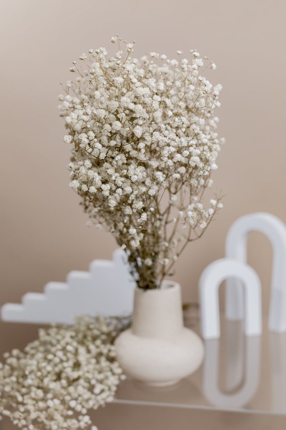 Dried Babys Breath Gypsophila White Flowers Stock Photo