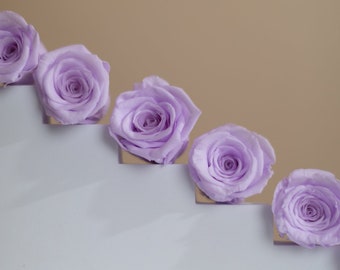 Wholesale Preserved Lilac Roses - 8 Head Box Stabilised Roses