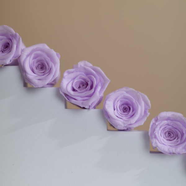 Wholesale Preserved Lilac Roses - 8 Head Box Stabilised Roses