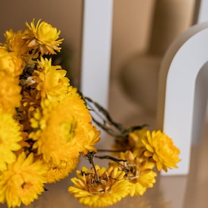 Helichrysum séché jaune Fleurs de paille jaune image 8