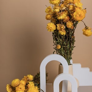 Helichrysum séché jaune Fleurs de paille jaune image 2