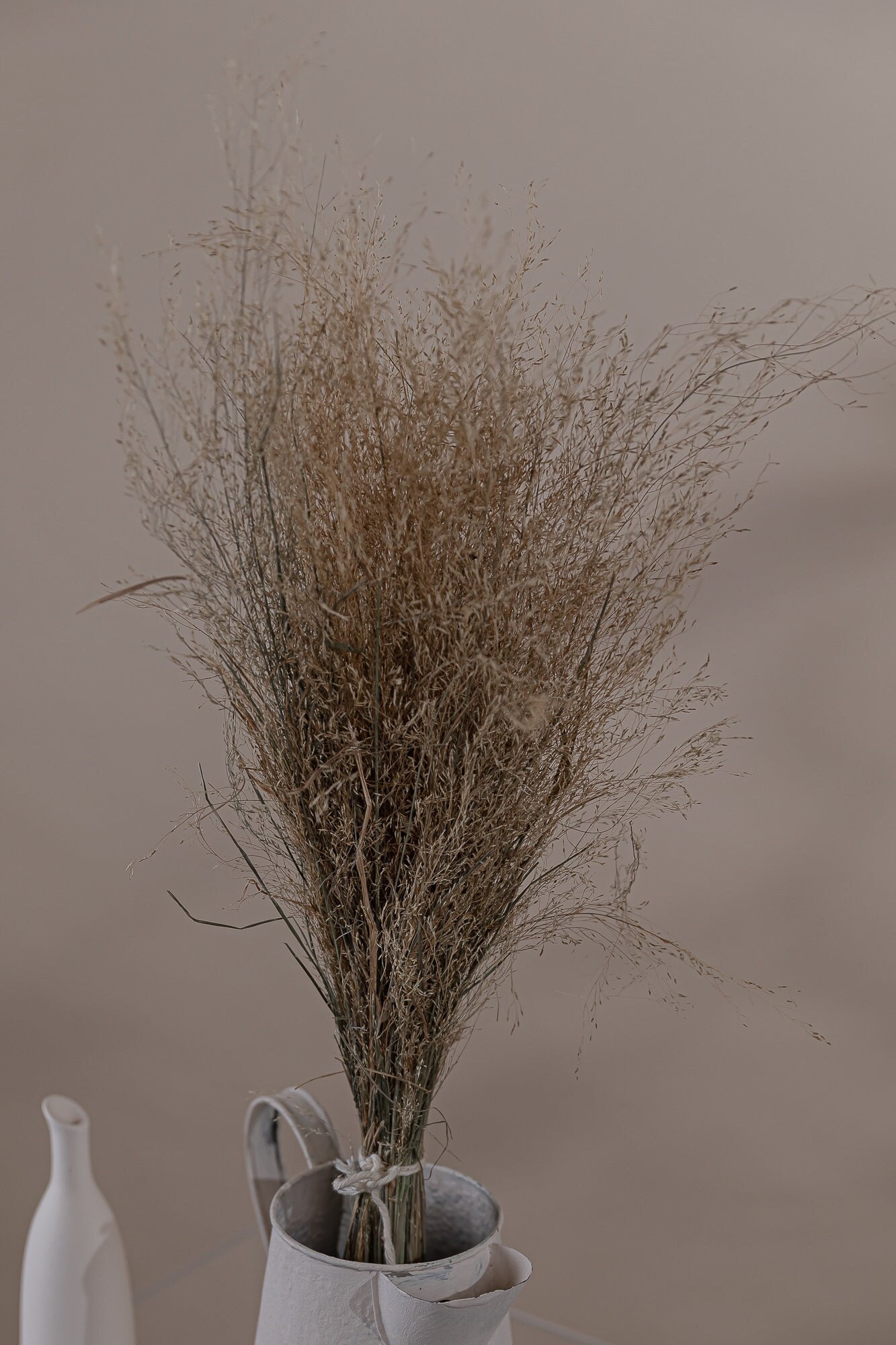 Natural Taupe Brown Wispy Feather Grass - Stipa Pennata