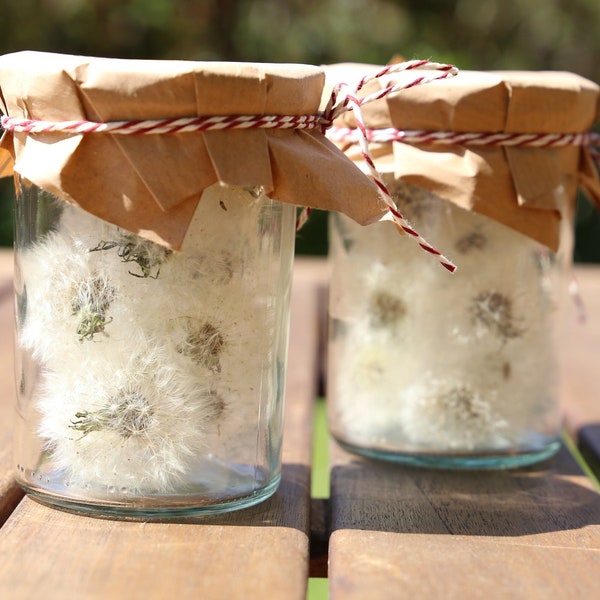 Echte Pusteblume im Glas  |  Wunscherfüller | Wunschglas Wünsche mit Karte personalisierbar kleines Geschenk Dankeschön Aufmerksamkeit