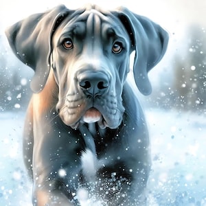 Digital - gemischte große Winterhunderassen, Dalmatiner, Deutsche Pyrenäen, Deutsche Dogge, Bernhardiner und der entzückende Golden Retriever