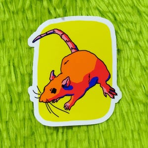 Adesivo in vinile con ratto giallo, ratto domestico, adesivo per laptop