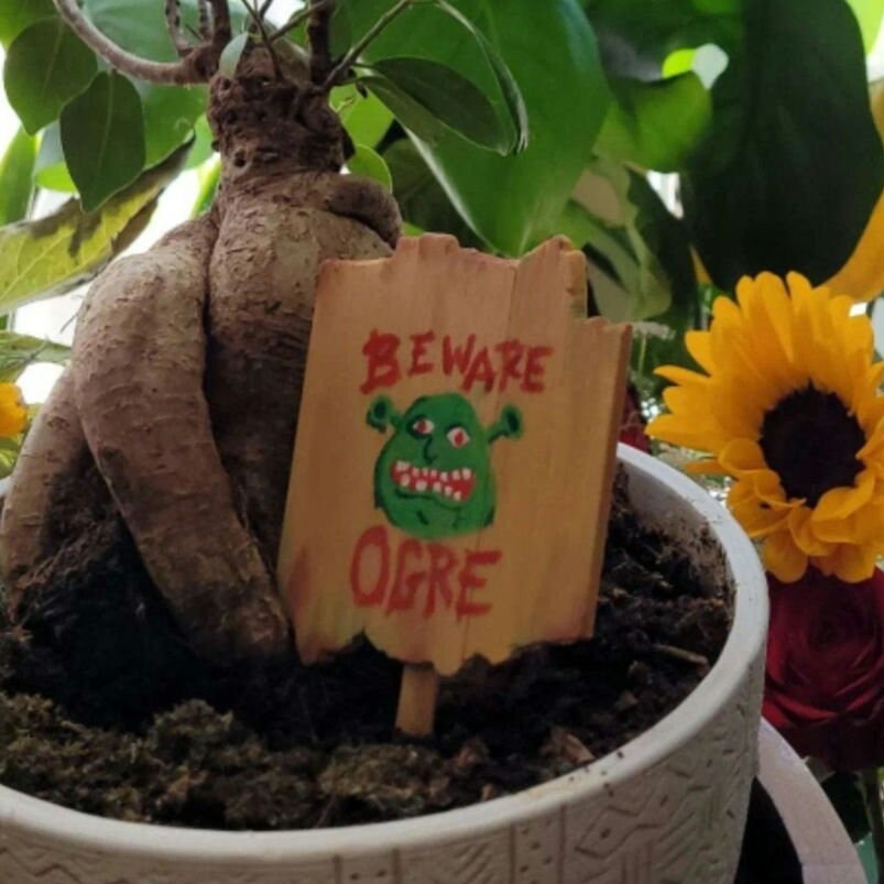 Beware Ogre Sign