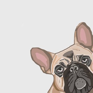 Frenchie Nursery