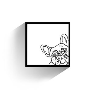 Frenchie 1