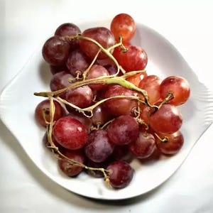 50 Red Finger Grape Seeds - Vitis Vinifera - Organic Heirloom Fruit Seeds For Planting