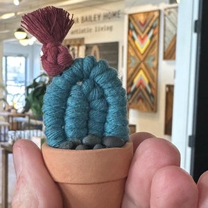 waterless macrame cacti