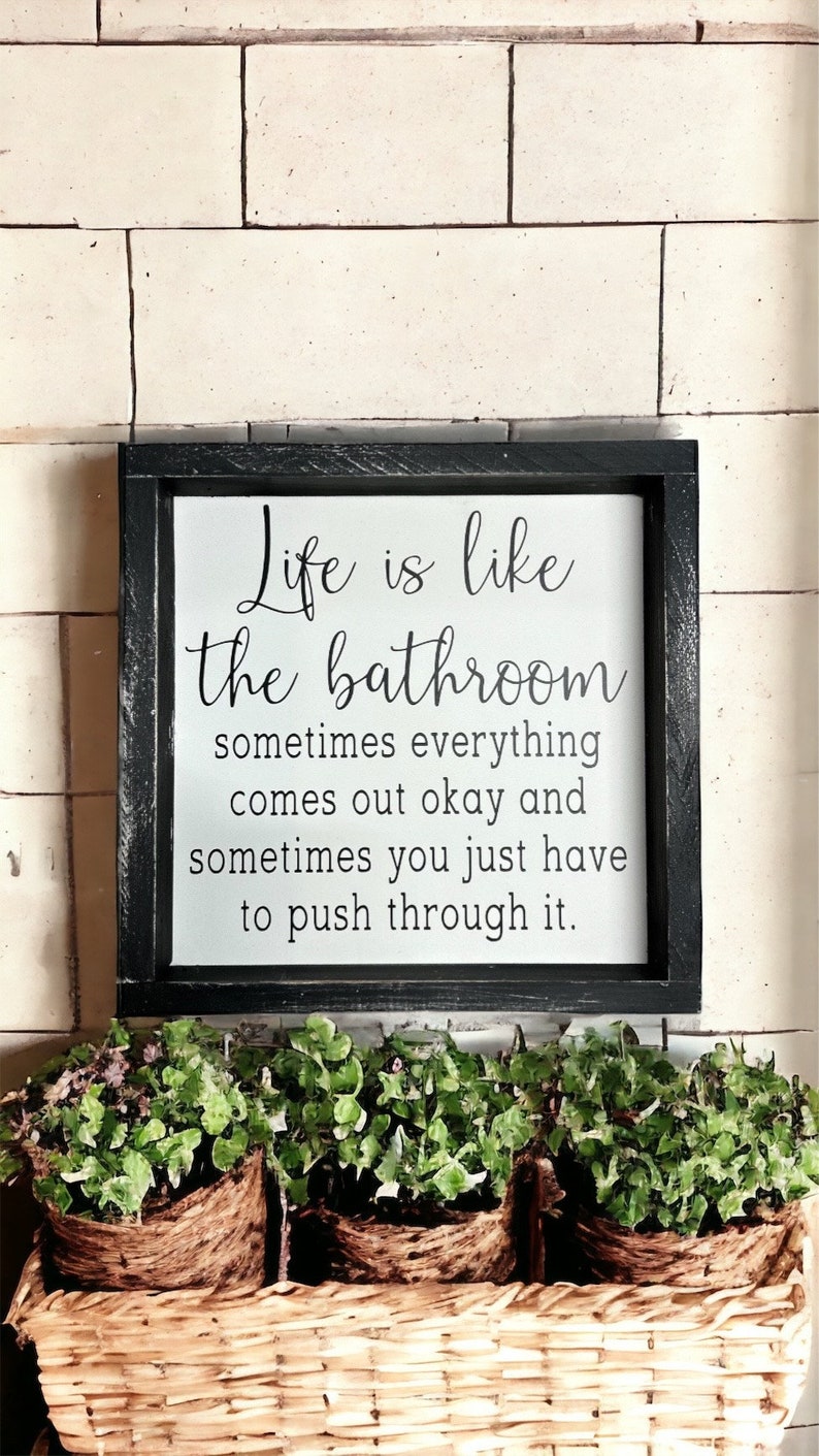 May include: A framed sign with the text "Life is like the bathroom, sometimes everything comes out okay and sometimes you just have to push through it." The sign is black and white and is above three small potted plants in a woven basket.