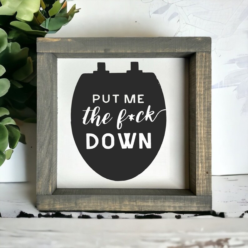 Put me the F down - wood signs - funny bathroom decor - bathroom wall art - adult humor - boys bathroom - bathroom shelf decor - image 4