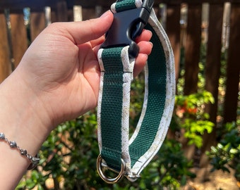 PREMADE dog collar - ready to ship