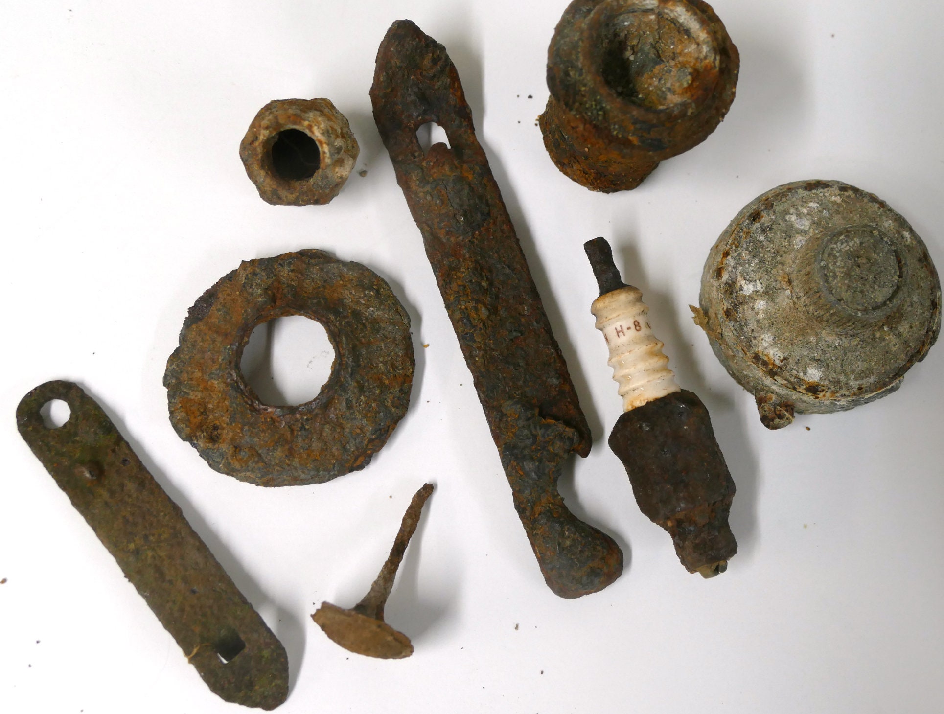 Why Do Dogs Lick Rusty Metal