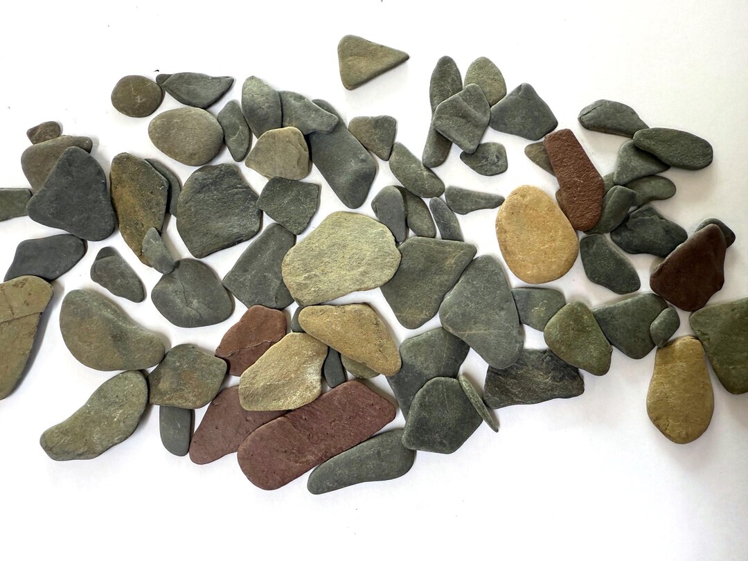 Wheighty Tan Rocks 70 Pcs Thin Shale Rocks, Mosaic Lake Rocks as Found, Wave Tumbled. Thin ...