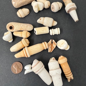 May include: A selection of small, off-white, carved items, including bottle stoppers and beads, with a penny for scale. The objects have various shapes, some cylindrical, others rounded or with decorative details. The items are arranged on a dark surface.