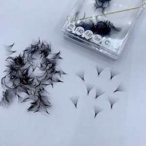 promade fans 14D curl C-D ( 500 fan/box ), 0.05 thing supplier- hand made fand