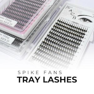 May include: Clear plastic trays filled with black spike fan lashes. The trays are labeled with sizes and the text "SPIKE FANS TRAY LASHES". One tray has an illustration of an eye. The lashes are for cosmetic use.