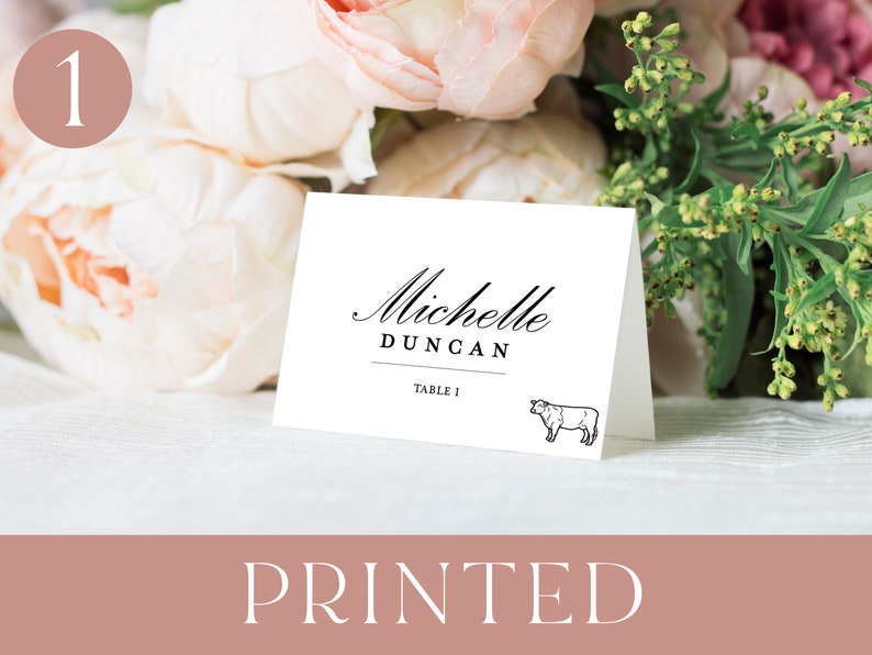 Printed Wedding Place Cards With Meal Choice Table Name Cards for