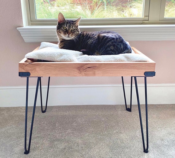 metal cat bed