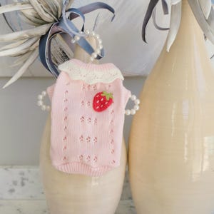 May include: A light pink dog sweater with a white lace collar and a red strawberry applique. The sweater has a delicate, open-knit design and is displayed on a cream-colored vase. A pearl necklace is draped over the vase.