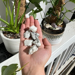 May include: A hand holding a collection of small, white, and gray moonstone crystals. The crystals are rough and have a natural, unpolished look.