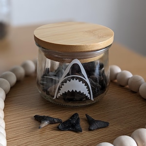 May include: A clear glass jar with a bamboo lid, decorated with a white shark mouth graphic. The jar contains dark objects, possibly shark teeth. Three shark teeth are placed on a wooden tray, surrounded by wooden beads.