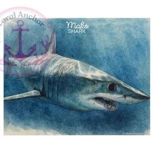 Shark Wall Art, Mako Shark Watercolor Painting, Semi-Glossy or Matte Finish, Home Decor, Ocean Theme Decor, Wildlife Art, Marine
